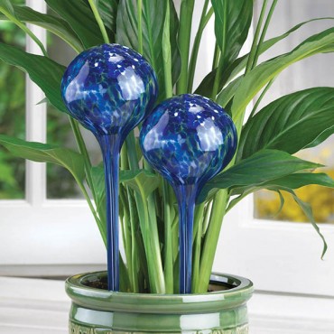Plant Watering Globe Stakes