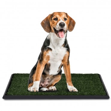 30 In. x 20 In. Pet Potty Training Toilet Grass Mat