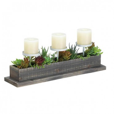 Reclaimed Wood Succulent Candle Display