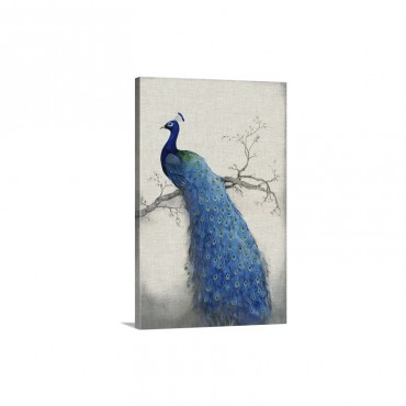 Peacock Blue I I Wall Art - Canvas - Gallery Wrap