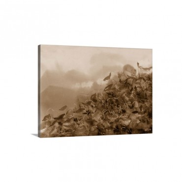 Song of the flower Wall Art - Canvas - Gallery Wrap