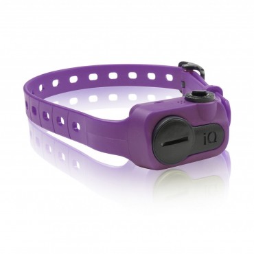 Dogtra iQ No Bark Collar Purple
