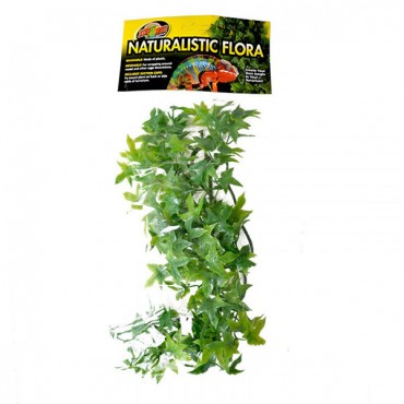Zoo Med Natural Bush - Congo Ivy Aquarium Plant - Small - 8 in. - 10 in. Tall - 4 Pieces