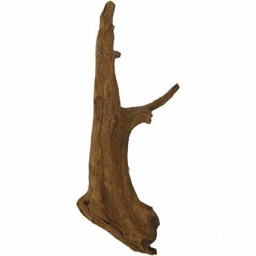 Blue Ribbon Natural Malaysian Driftwood - Small - 8 in. - 12 in. Long - 2 Pieces