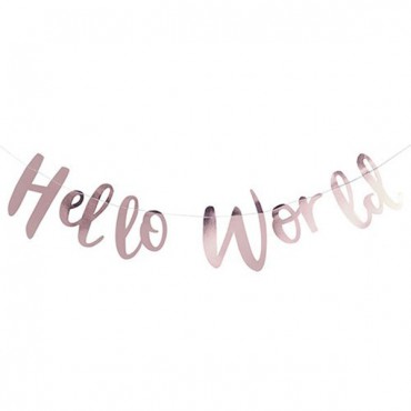 Hello World - Baby Shower Banner - 2 Pieces