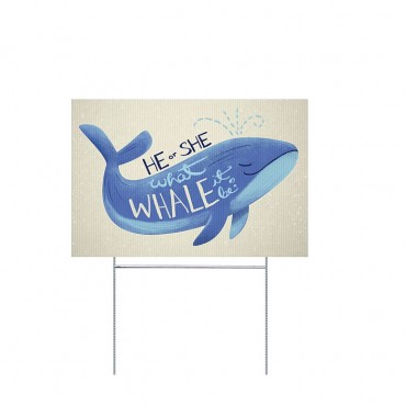 Gender Reveal - Whale