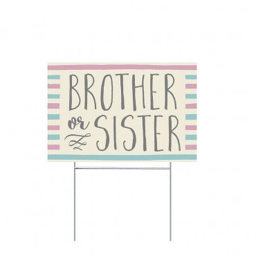 Gender Reveal - Brother or Sister