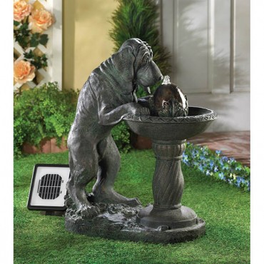 Thirsty Dog Solar Fountain