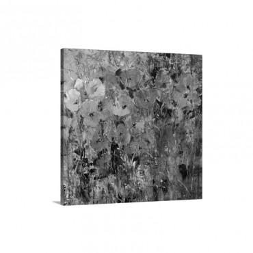 Amber Poppy Field I I Wall Art - Canvas - Gallery Wrap 
