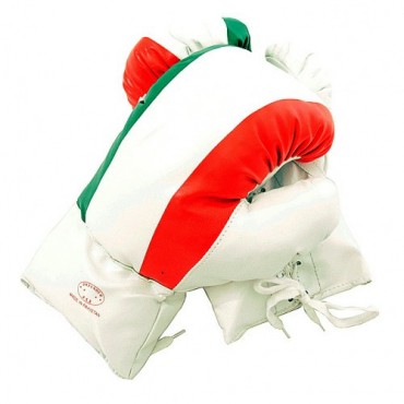 16 oz Italian Flag Boxing Gloves