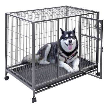 44 in. x 29 in. Metal Wire Pet Crate Cage