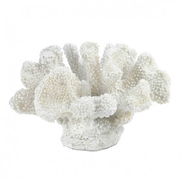 White Coral Decor