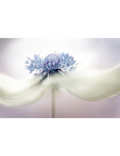 Auto Order Image