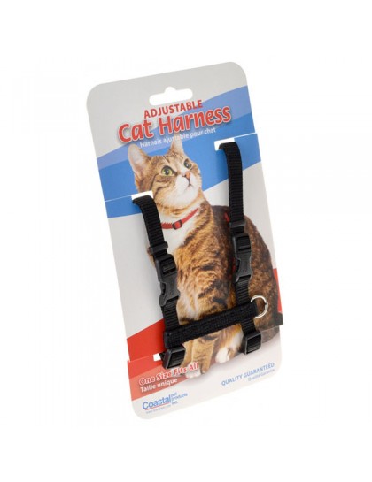 Auto Order Image