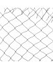 Auto Order Image