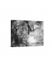 Auto Order Image
