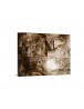 Auto Order Image