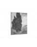 Auto Order Image