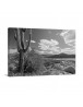 Auto Order Image