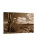 Auto Order Image