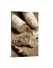 Auto Order Image