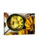 Set Base Image on userdefine via change method.