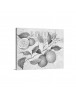 Auto Order Image