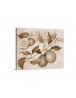 Auto Order Image