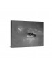 Auto Order Image
