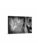 Auto Order Image
