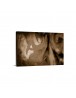 Auto Order Image