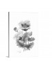Auto Order Image