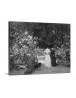 Auto Order Image
