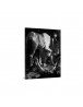 Auto Order Image
