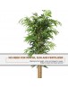 Auto Order Image