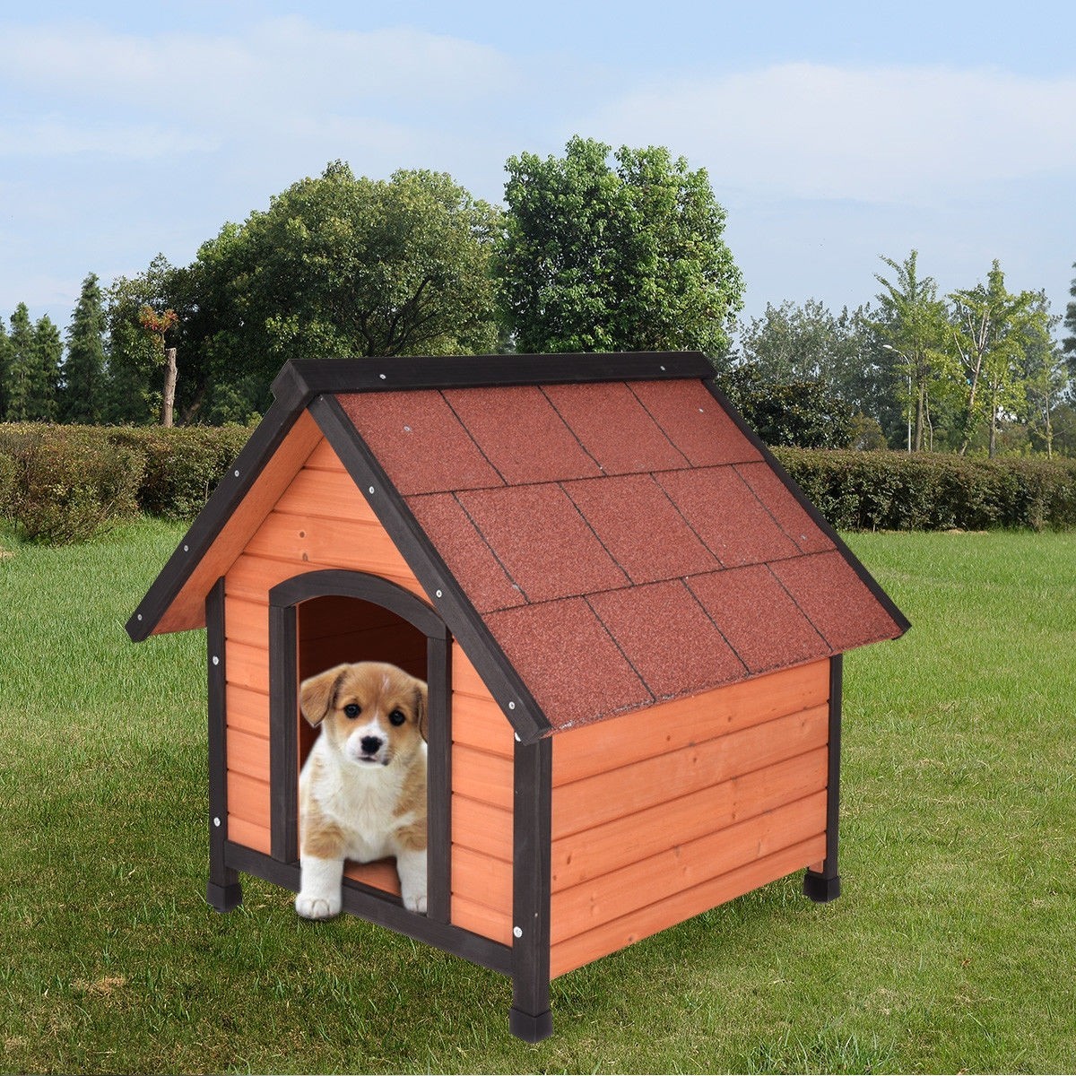 New dog house. Будка для собаки. Красивые будки для собак. Собака с конурой. Маленькая будка для собаки.